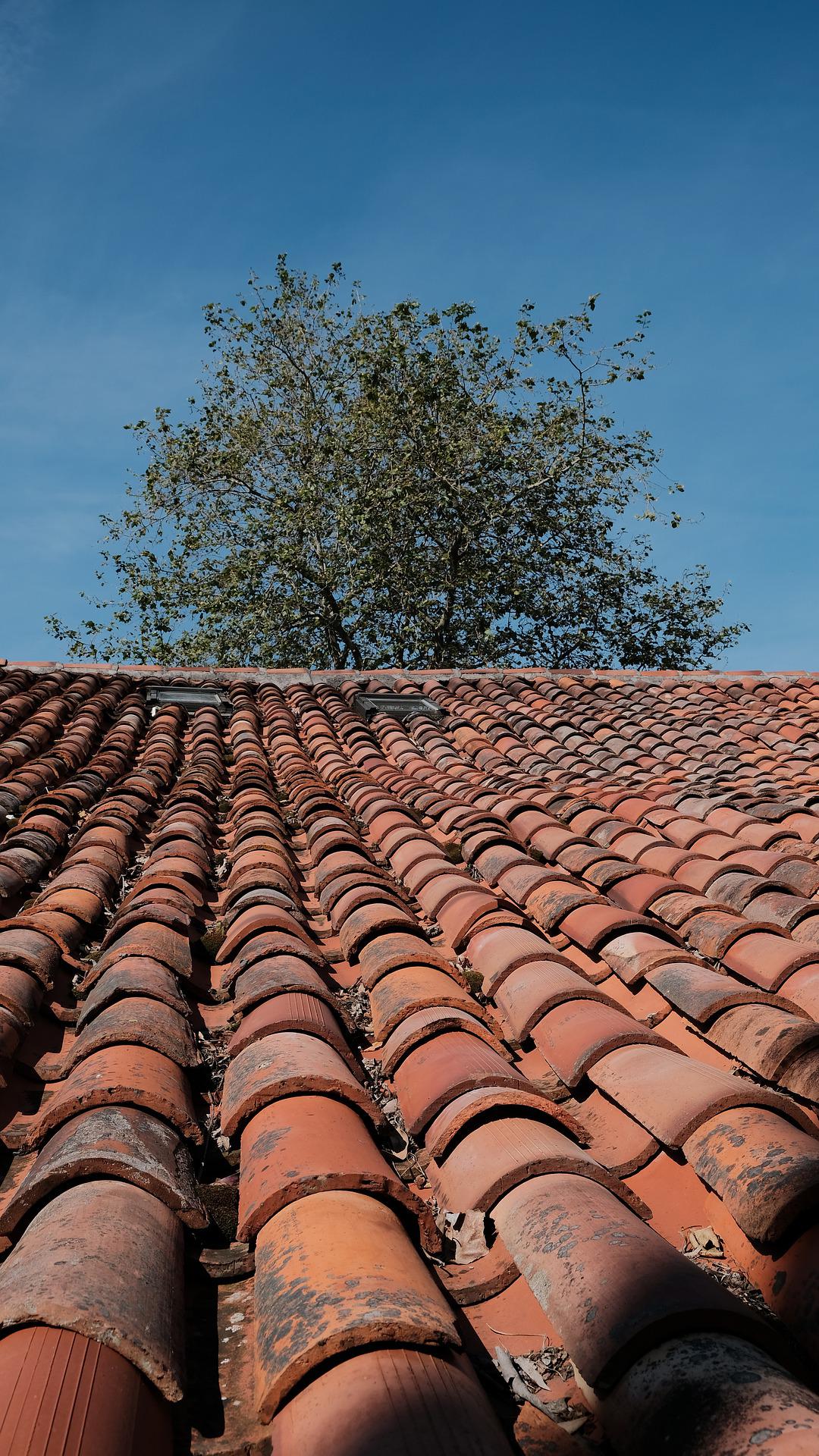 roof-5166787_1920